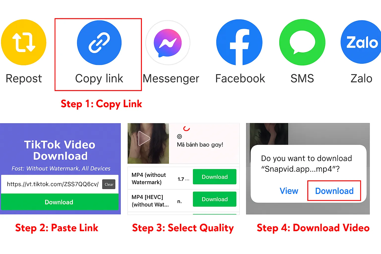 4 steps to download TikTok videos without watermark using SnapVid